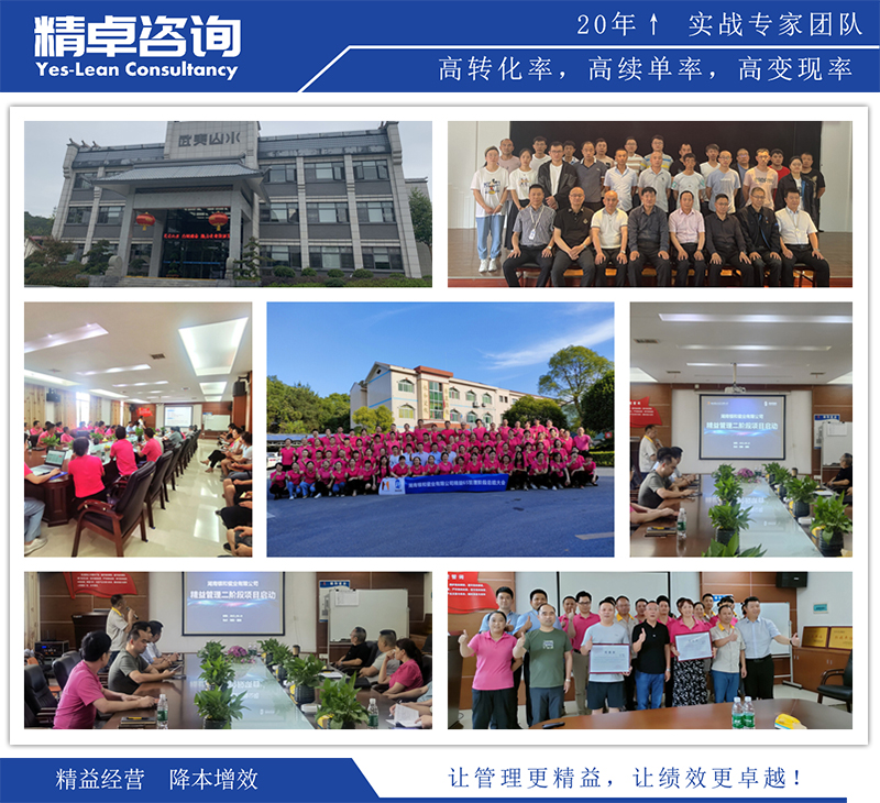 精益生產(chǎn)管理服務(wù)項目總結(jié)