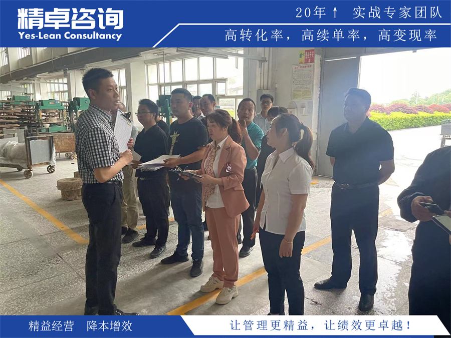 精益生產(chǎn)項目現(xiàn)場指導