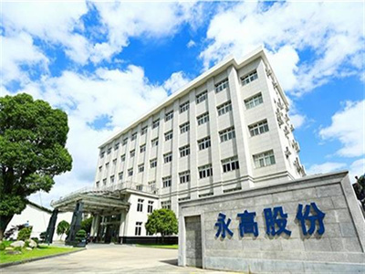 浙江永高股份_精益生產(chǎn)管理咨詢案