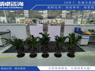 工廠環(huán)境整理和標(biāo)準(zhǔn)化管理的5S實(shí)施策略