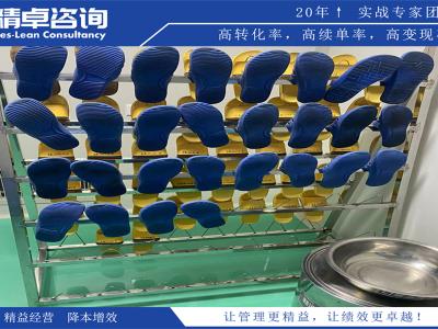 10級(jí)無(wú)菌車(chē)間5S管理方案和內(nèi)容