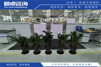 供應商管理咨詢