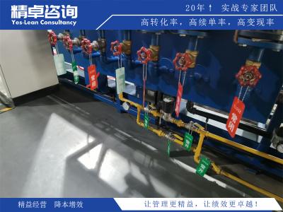精益生產(chǎn)咨詢輔導的關(guān)鍵要素和成功因素