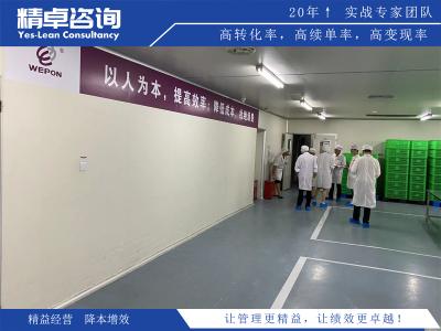 5S標準是哪五項內容及其在提高生產效率中的作用